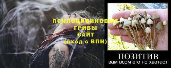 мдма Михайловск