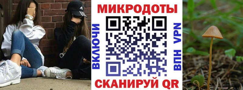 Псилоцибиновые грибы Magic Shrooms  Гаврилов Посад 