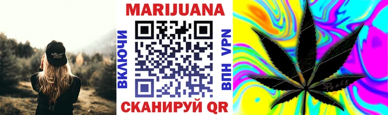 Конопля план  Гаврилов Посад 