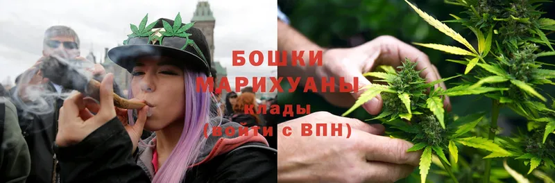 МАРИХУАНА SATIVA & INDICA  Гаврилов Посад 